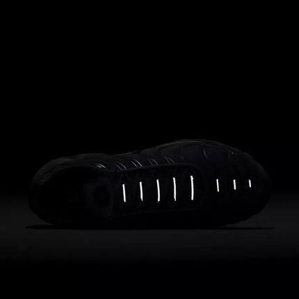 Nike Air Max Plus M 604133-139 Batai