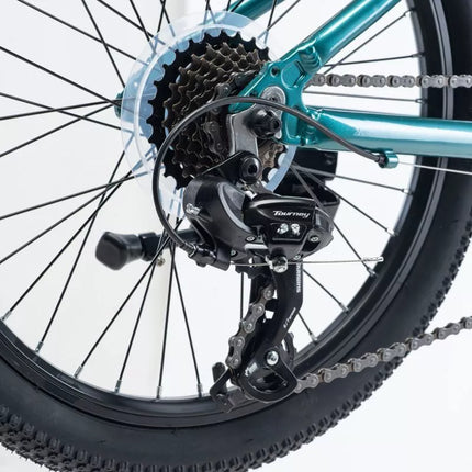 Children's Bike Radvik Viking 20 92800597756