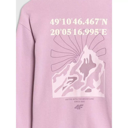 Girls' sweatshirt with a hood, 4F 4FJWSS25TSWSF1482-52S