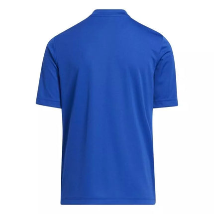 adidas Entrada 22 Graphic Marškinėliai Jaunimui HF0130