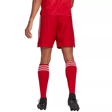 adidas Condivo 21 Primeblue šortai M GJ6810