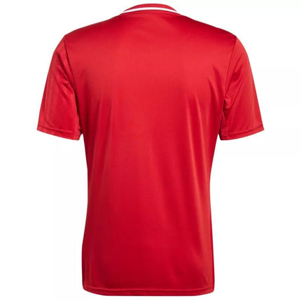 adidas Campeon 25 marškinėliai M JF6058