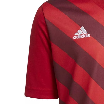 adidas Entrada 22 Grafinis Marškinėliai Jaunesniesiems H58983