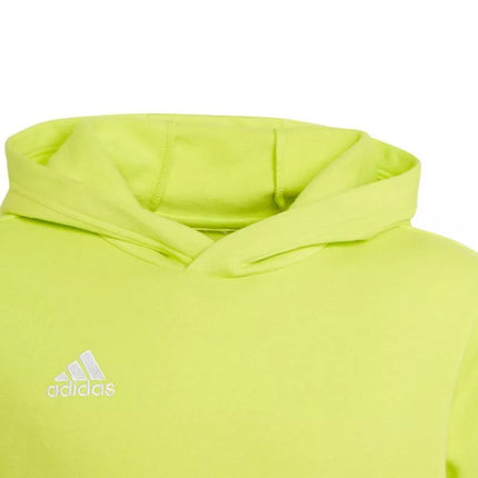 Adidas Entrada 22 Hoody Jr HC5069 džemperis