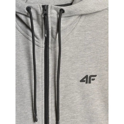 Men's regular hooded sweatshirt 4F 4FRMM00TSWSM3058-27M