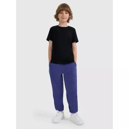 Boy's regular plain T-shirt 4F 4FJRMM00TTSHM3254-20S