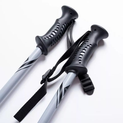 ALPINE SKI II poles