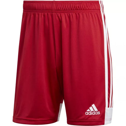 adidas Tastigo 19 Šortai M DP3681