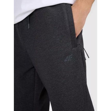 Men's jogger sweatpants 4F 4FRAW25TTROM1696-22S