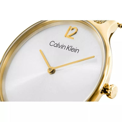 CALVIN KLEIN Nesenstantis tinklinis laikrodis moterims 25200003 + Dėžutė