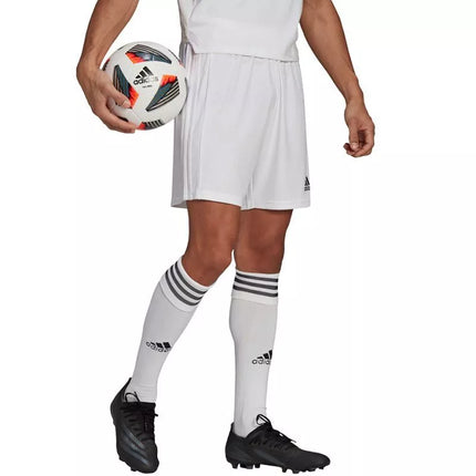 Adidas Squadra 21 Šortai M GN5774