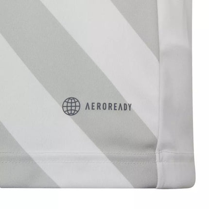 Adidas Entrada 22 Graphic marškinėliai Jr HF0120