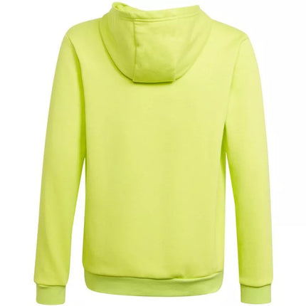 Adidas Entrada 22 Hoody Jr HC5069 džemperis
