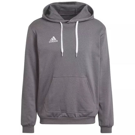 Adidas Entrada 22 Sweat M HB0578 džemperis