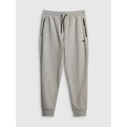 Vyriškos sportinės kelnės (jogger) 4F 4FRMM00TTROM2020-27M