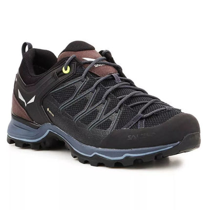 Vyriški batai Salewa Mtn Trainer Lite GTX M 61361-0971