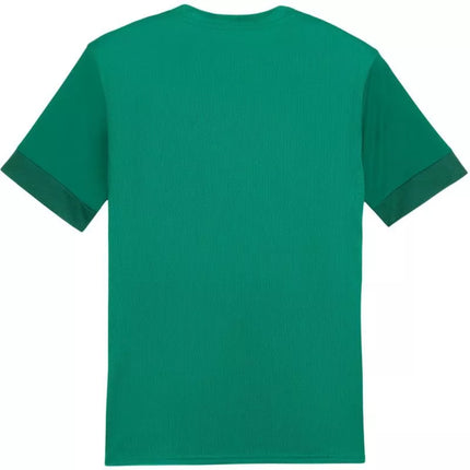Puma teamGoal Matchday Jersey M 705747 05
