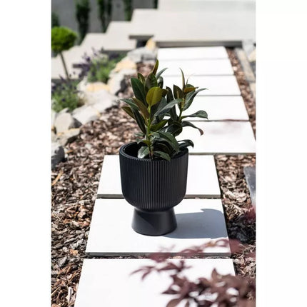 MILLY GĖLIŲ VAZONAS ANT KOJELĖS SKERSMUO 24 CM ŽALIA PINA