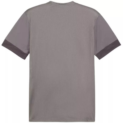 Puma teamGoal Matchday Jersey M 705747 13