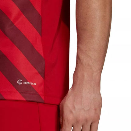 Adidas Entrada 22 grafiniai marškinėliai M HB0572