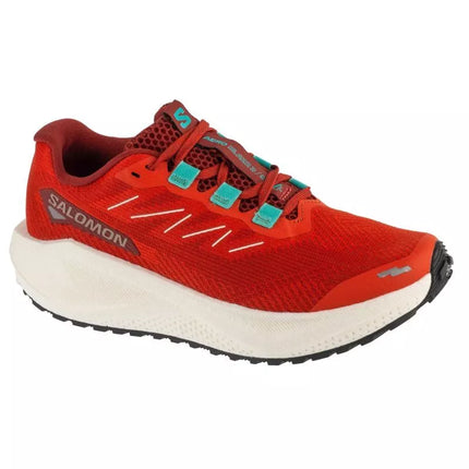 Salomon Aero Blaze 3 Žvyrui W L47915000 Oranžinė 37 1/3