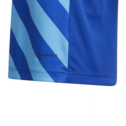 adidas Entrada 22 Graphic Marškinėliai Jaunimui HF0130