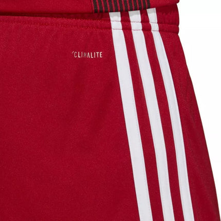 adidas Tastigo 19 Šortai M DP3681