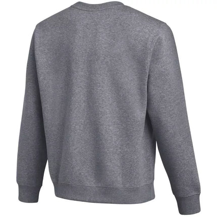 Nike Park 26 Fleece Crew Vyriškas džemperis Tamsiai pilkas IB1190 071