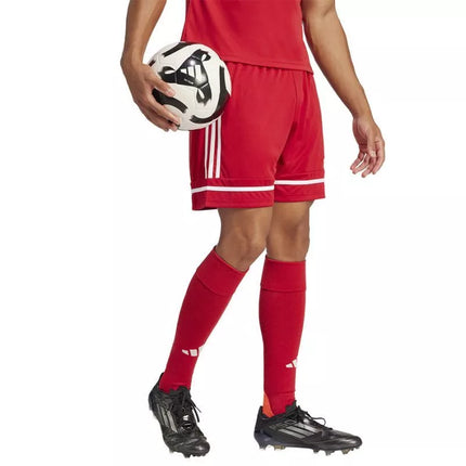 adidas Squadra M 25 Šortai JN5466 futbolo šortai