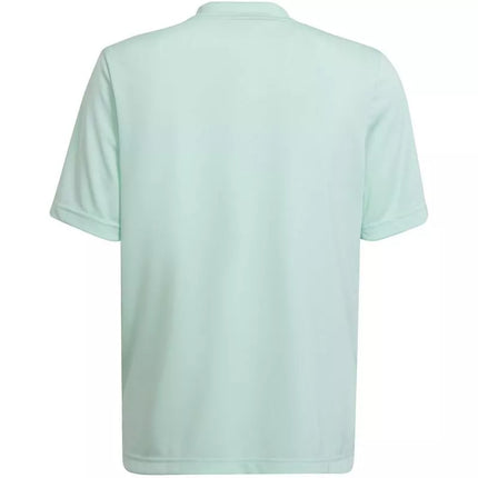 adidas Entrada 22 Graphic Jersey Jr HF0127