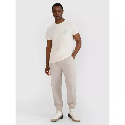 Men's casual trousers 4F 4FWSS25TTROM1001-83S