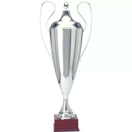 Sidabrinė metalinė taurė TD 1042-N/B