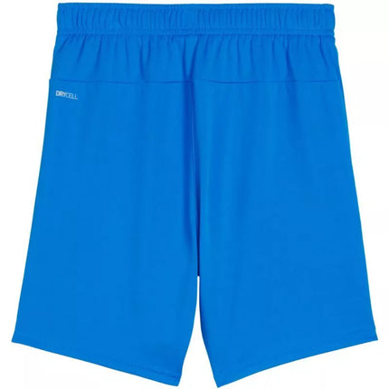 Puma Team Goal kids' shorts blue 705753 02