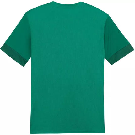 Puma teamGoal Matchday Jersey M 705747 05