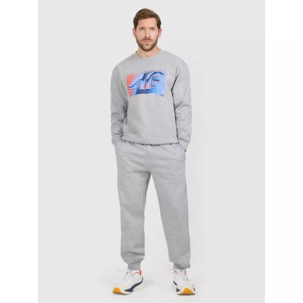 Men's jogger sweatpants 4F 4FRAW25TTROM1832-27M