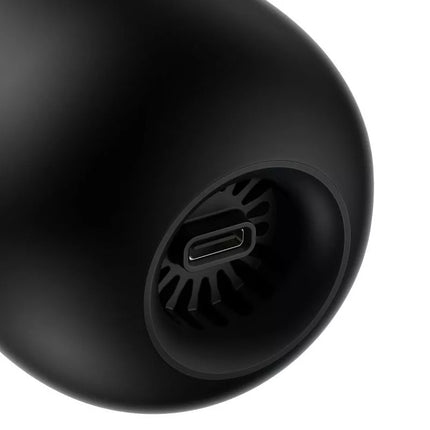Baseus A2Pro automobilinis dulkių siurblys 6000Pa 80W juodas