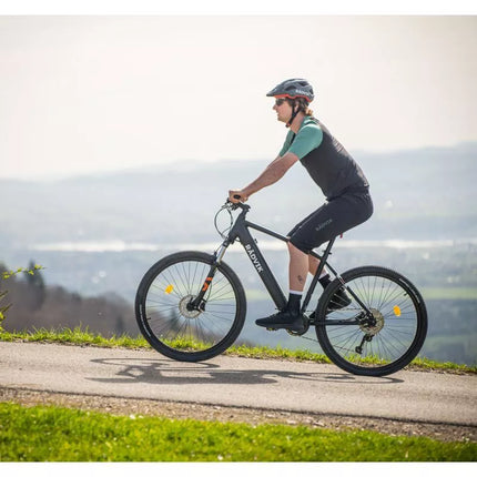 Radvik Xray šortai Gts M 92800612900