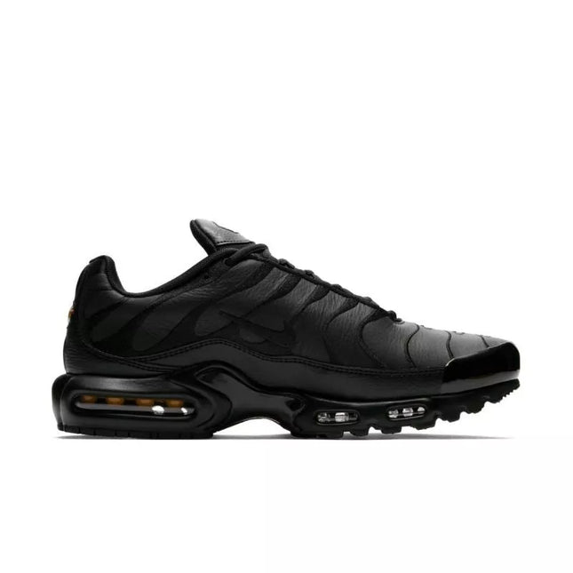 Nike Air Max Plus M AJ2029-001 batai