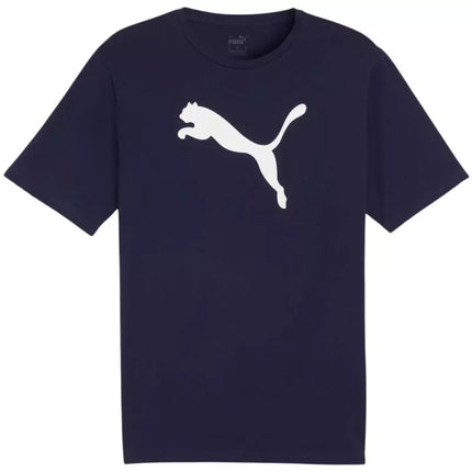 Marškinėliai Puma Team Rise Logo Jersey Cotton M 658705 06