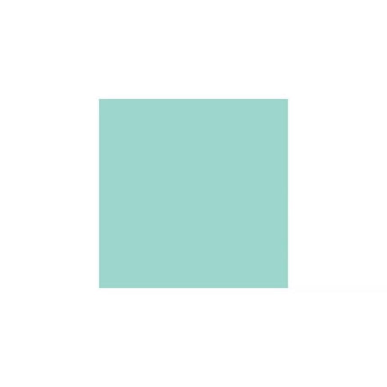 Puma Shibusa W 389082-04 Šlepetės