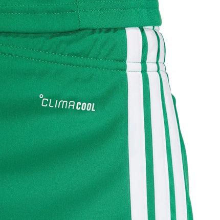 Vyriški adidas Tiro 26 League šortai, žali, KA8774