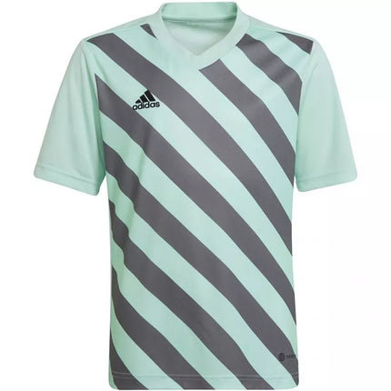 adidas Entrada 22 Graphic Jersey Jr HF0127