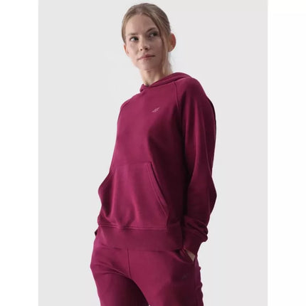 Džemperis 4F W 4FWMM00TSWSF1468-51S