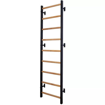 GYMNASTIC LAMBER WITH ADJUSTABLE METAL BAR 731B BENCHK