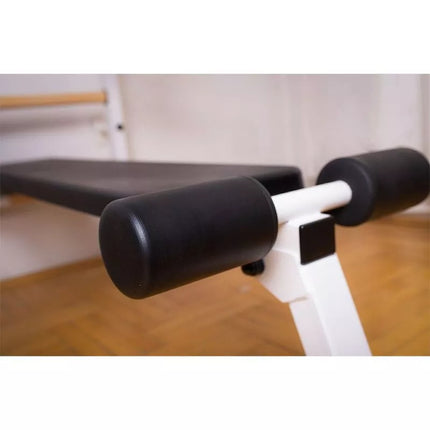GYMNASTIC LADDER WITH A HAND BAR AND A BENCH FOR EXERCISES BENCHK 723W