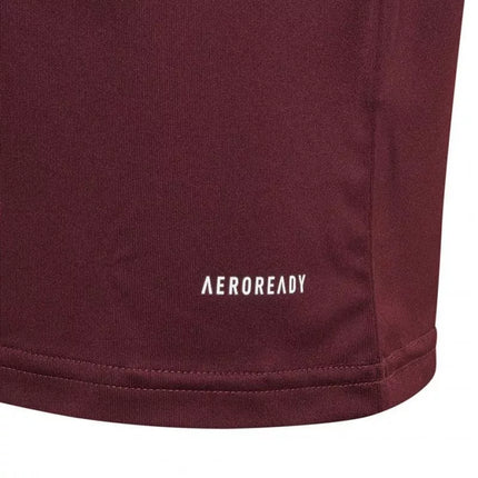 adidas Squadra 21 marškinėliai jaunimui Jr GN8090