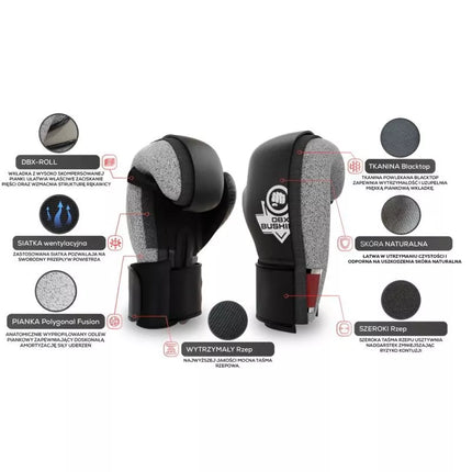 10oz Boxing Gloves - Japan - Valor Series