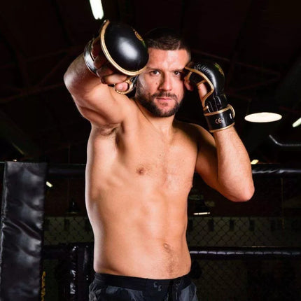 MMA ringtynių pirštinės M - Aureos - Valor Series