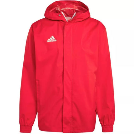Adidas Entrada 22 Visiems Orams Striukė Vyrams IK4009