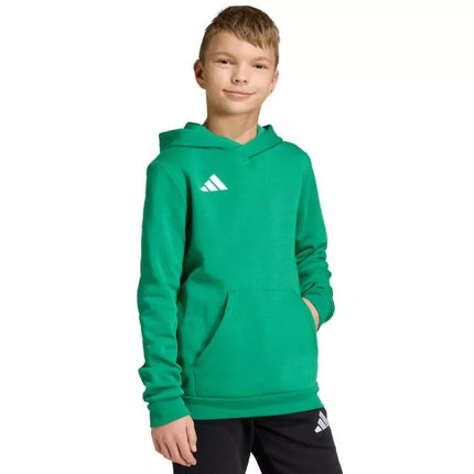 Adidas Entrada 26 Hoody green JZ6563 kids' sweatshirt
